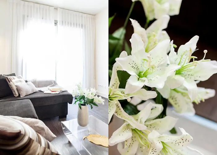 Aspasios Catedral アパート